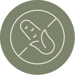 grain free icon