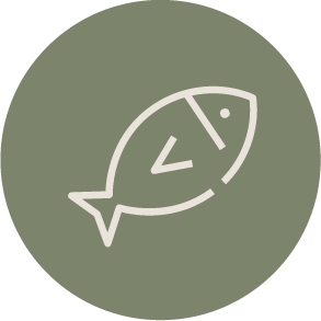 scd icon